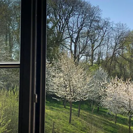 De Romeinse Katzei Frühstückspension Borgloon